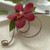 Red Mokara Boutonniere