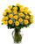 Classic 2 Dozen Roses- Available in Multiple Colors