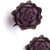 Artichoke