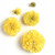 Marigold