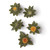 Safflower