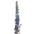 Delphinium