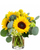 Brighter Because of You sunflower arrangement in a glass vase for cheerful flower delivery in Albuquerque