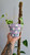 Planting a green plant