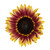 Mahogany Sunflower