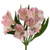 Light Pink Alstroemeria – Bulk Filler Flower – Albuquerque NM