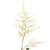 White Astilbe – Bulk Filler Flower – Albuquerque NM