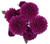 Purple Button Chrysanthemum – Bulk Flowers – Albuquerque New Mexico