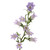 Lavender Campanula – Bulk Bell Flowers – Albuquerque New Mexico