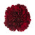 Burgundy Carnation – Bulk Flowers – Albuquerque New Mexico