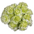Green Carnation – Bulk Flowers – Albuquerque New Mexico
