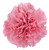 Light Pink Carnation – Bulk Flowers – Albuquerque New Mexico