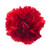 Red Carnation – Bulk Flowers – Albuquerque New Mexico