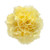 Yellow Carnation – Bulk Flowers – Albuquerque New Mexico