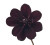 Chocolate Cosmos – Bulk Flowers – Albuquerque New Mexico
