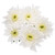 White Cushion Chrysanthemum – Bulk Flowers – Albuquerque New Mexico