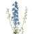 Light Blue Delphinium – Bulk Fresh Flowers – Albuquerque NM