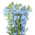 Light Blue Delphinium – Bulk Fresh Flowers – Albuquerque NM