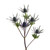 Blue Thistle Eryngium bulk flowers – Albuquerque Flower Market