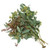 Green Seeded Eucalyptus – bulk wholesale greenery Albuquerque Flower Market