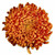 Bronze Football Chrysanthemum – bulk wholesale flowers Albuquerque Flower Mark