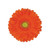 Orange Gerbera Daisy Light Eye – bulk wholesale flowers Albuquerque Flower Market
