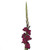 Burgundy Gladiolus – bulk wholesale flowers Albuquerque Flower Market