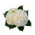 White Hydrangea – bulk wholesale flowers Albuquerque Flower Market