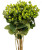 Green Hypericum – bulk wholesale flowers Albuquerque Flower Market