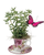 Mother’s Day Flutter Cup plant gift in floral teacup with saucer and butterfly accent in Albuquerque New Mexico