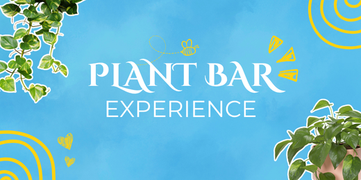 Plant Bar Experience Workshop