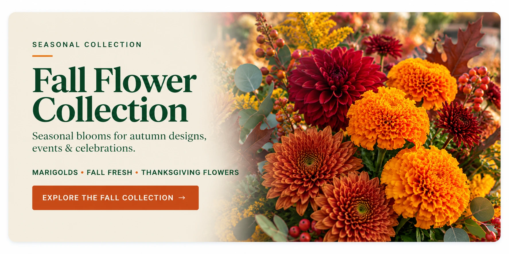Fall Flower Collection at Albuquerque Flower Market featuring marigolds and seasonal fall flowers