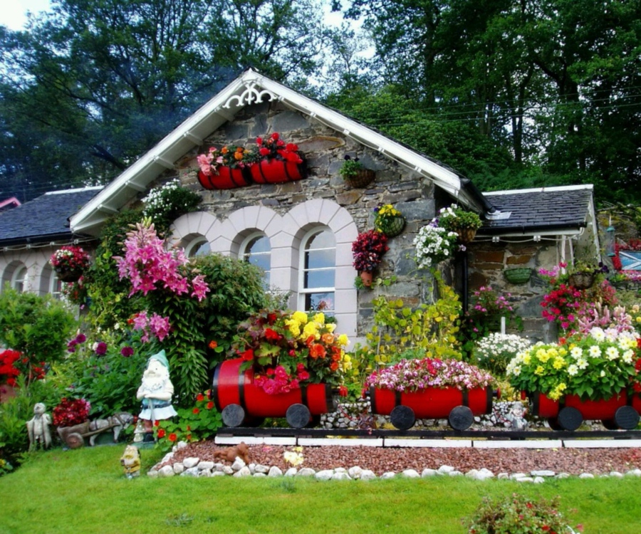 Flowers With the Best Fragrance Albuquerque Florist