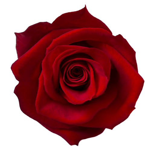 64f1dae1ea83ec94b10c56c9_64f0d