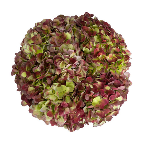 Antique Red Hydrangea – Bulk Flowers | Albuquerque Flower Market