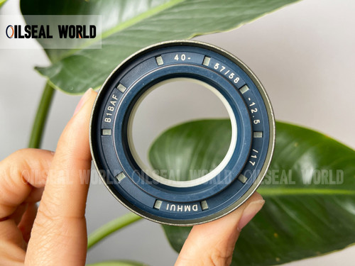 SEAL RING 40*60*25 NBR+AU RWDR-KOMBI MASSEY FERGUSON 053826R1
AGRICULTURE EQUIPMENT SEAL SOLUTION