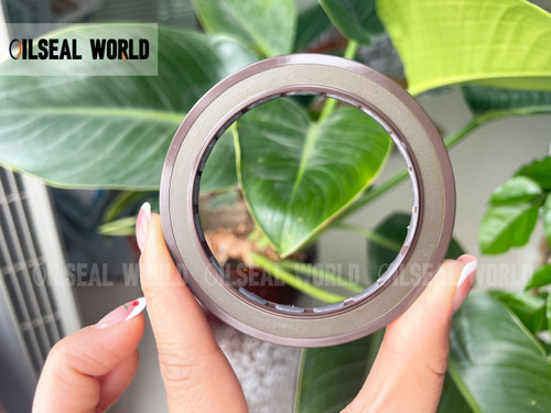 HIGH PRESSURE SHAFT SEAL 60*80*7/5.5 VITON BAFSL1SF FOR REXROTH A2FM160/180