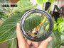 HIGH PRESSURE SHAFT SEAL 70*90*6 NBR BAKHDSN