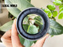 DIFFERENTIAL DRIVE AXLE SHAFT SEAL 55*82*16.5 NBR+AU COMBI SF6 12014159B
SEAL MANUFACTURER