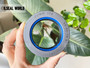 DIFFERENTIAL DRIVE AXLE SHAFT SEAL 55*82*16.5 NBR+AU COMBI SF6 MASSEY FERGUSON 3428942M1
AGRICULTURE EQUIPMENT SEAL SOLUTION