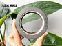 DIFFERENTIAL DRIVE AXLE SHAFT SEAL 58*82*16 VITON+AU COMBI SF6 CASE IH 5194224
AGRICULTURE EQUIPMENT SEAL SOLUTION