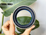 SEAL RING 56*75*22.5 NBR+AU COMBI SF8 ZF 0734309763
SEAL MANUFACTURER