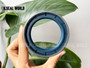 SEAL RING 58*80*16.5 NBR+AU COMBI SF6 VALTRA 31800500
SEAL MANUFACTURER