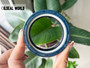 SEAL RING 50*65*18 NBR+AU COMBI SF8 12018616B
AGRICULTURE EQUIPMENT SEAL SOLUTION