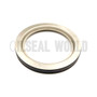 SEAL RING 117.5*145*13.9 SS+NBR