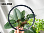 SEAL RING 170*186*7.5/10 NBR QLFY AE8190E
 SEAL MANUFACTURER