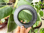 SEAL RING 70*111.3*12/24 NBR QLFY AQ8868P
SEAL MANUFACTURER