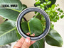 SEAL RING 85*110*13/14.5 VITON+NBR RWDR-CASSETTE-3 DANA 9700602301
AGRICULTURE EQUIPMENT SEAL SOLUTION
