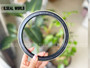 SHAFT WHEEL HUB SEAL 136.8*165*13/12 NBR RWDR-CASSETTE-3 ZF 0734309422
SEAL MANUFACTURER