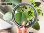 SHAFT WHEEL HUB SEAL 150*180*14.5/16 NBR RWDR-CASSETTE-2 JOHN DEERE RE204870
AGRICULTURE EQUIPMENT SEAL SOLUTION